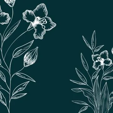 Pattern plants and herbs isolated icon Stock Illustration
