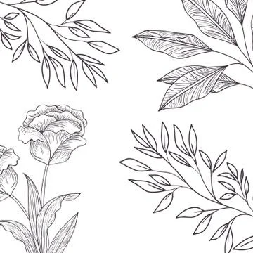 Pattern plants and herbs isolated icon Stock Illustration