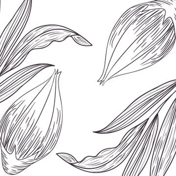 Pattern plants and herbs isolated icon Stock Illustration
