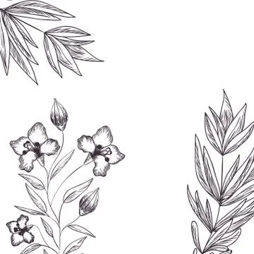 Pattern plants and herbs isolated icon Stock Illustration