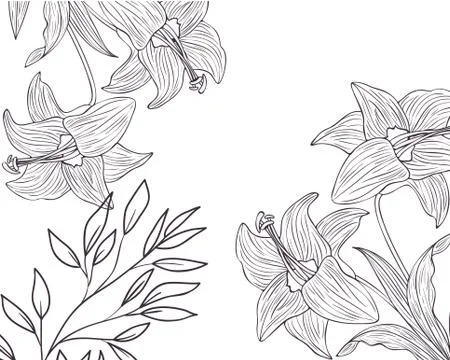Pattern plants and herbs isolated icon Stock Illustration