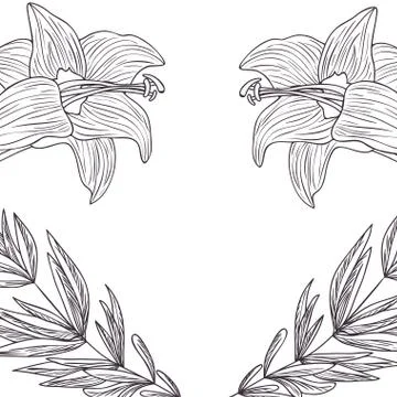 Pattern plants and herbs isolated icon Stock Illustration