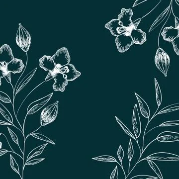Pattern plants and herbs isolated icon Illustrazione stock