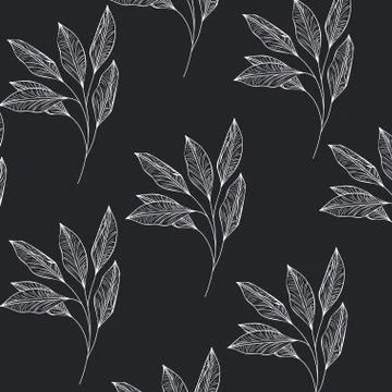 Pattern plants and herbs isolated icon Stock Illustration