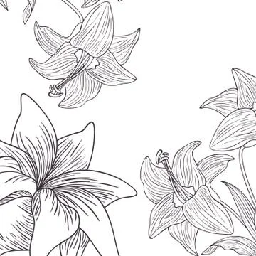 Pattern plants and herbs isolated icon Stock Illustration