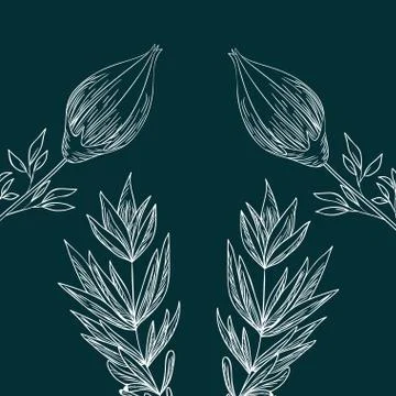 Pattern plants and herbs isolated icon Illustrazione stock