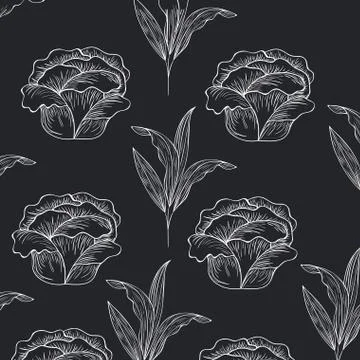 Pattern plants and herbs isolated icon 스톡 일러스트