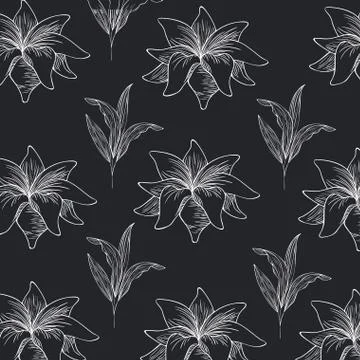 Pattern plants and herbs isolated icon Stock Illustration