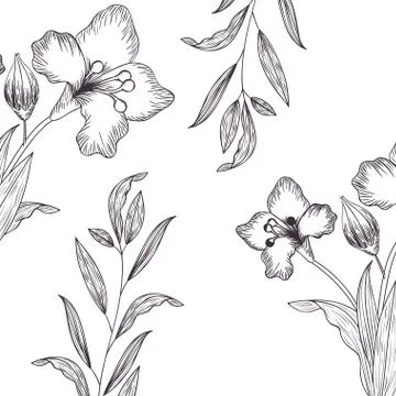 Pattern plants and herbs isolated icon Stock Illustration