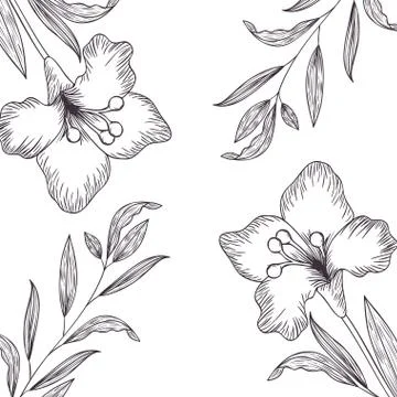 Pattern plants and herbs isolated icon Stock Illustration