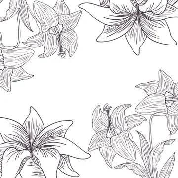 Pattern plants and herbs isolated icon Illustrazione stock