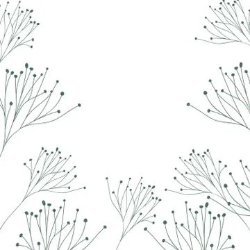Pattern plants and herbs isolated icon Illustrazione stock