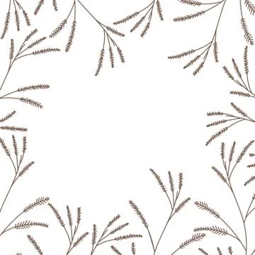 Pattern plants and herbs isolated icon Stock Illustration