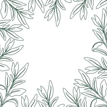 Pattern plants and herbs isolated icon 스톡 일러스트