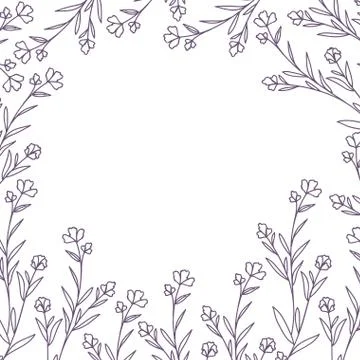 Pattern plants and herbs isolated icon Stock Illustration