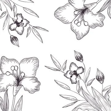 Pattern plants and herbs isolated icon Stock Illustration