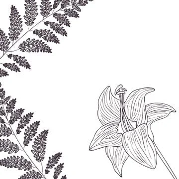 Pattern plants and herbs isolated icon Stock Illustration
