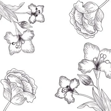 Pattern plants and herbs isolated icon Stock Illustration