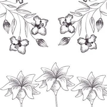 Pattern plants and herbs isolated icon Stock Illustration