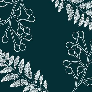 Pattern plants and herbs isolated icon Illustrazione stock
