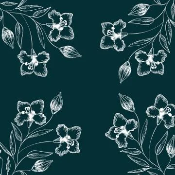 Pattern plants and herbs isolated icon Stock Illustration