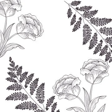 Pattern plants and herbs isolated icon Stock Illustration