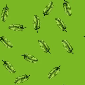 Pattern plate banana leaf sketch hand drawn 스톡 일러스트