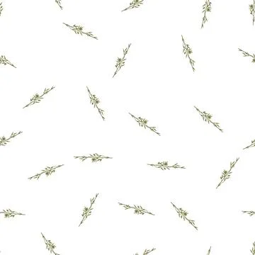 Pattern platter olive border divider cartoon vector イラスト素材
