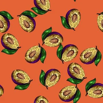 Pattern plum fruit ripe food sketch hand drawn Stock Illustration