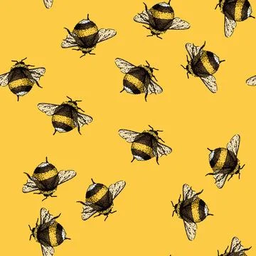 Pattern pollinate bee sketch hand drawn Stock Illustration