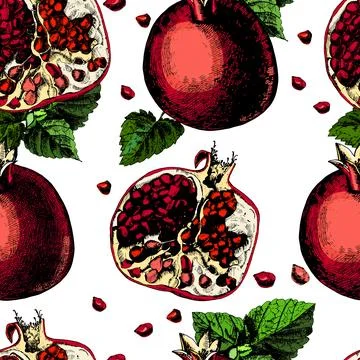 Pattern with pomegranate. Illustrations. Vector. Illustrazione stock