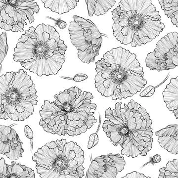 Pattern with poppies Stock Illustration