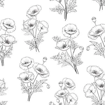 Pattern of poppy flowers. Stock Illustration