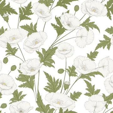 Pattern of poppy flowers. Stock Illustration