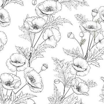 Pattern of poppy flowers on a white background. Stock-Illustration