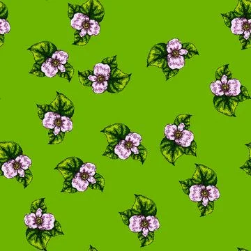 Pattern pot begonia sketch hand drawn Illustrazione stock