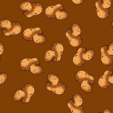 Pattern potato vegetable sketch hand drawn Stock Illustration