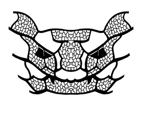 The pattern of predatory creatures. Illustrazione stock