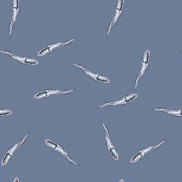 Pattern projectile bullet flying sketch hand drawn Stock Illustration