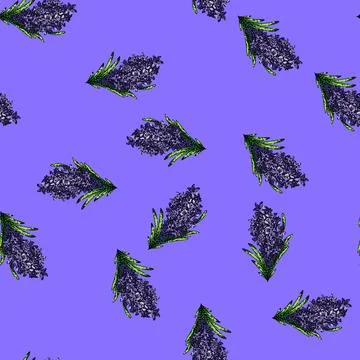 Pattern provence lavender sketch hand drawn Stock Illustration