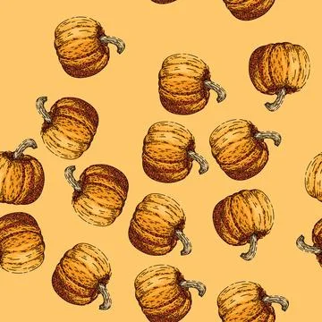 Pattern pumpkin orange sketch hand drawn イラスト素材