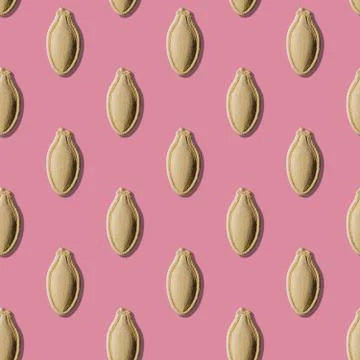Pattern of pumpkin seeds on a pink background. Stock-Fotos