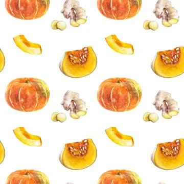 Pattern of pumpkins, ginger, garlic on white background for agriculture Stock Illustration