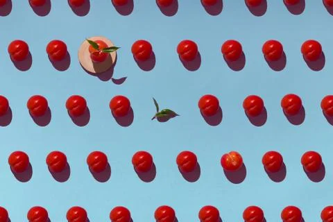 Pattern on a purple background with ripe red plums and wooden coasters Foto stock