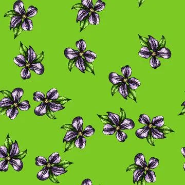 Pattern purple clematis sketch hand drawn Illustrazione stock