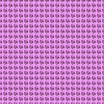 Pattern with purple iris flowers. Graceful iris flowers with white, purple pe Stock Photos