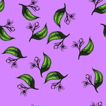 Pattern purple lilac sketch hand drawn Stock Illustration