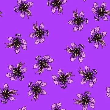 Pattern purple saffron sketch hand drawn Stock Illustration