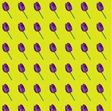 Pattern of purple tulips on a yellow background Stock Photos