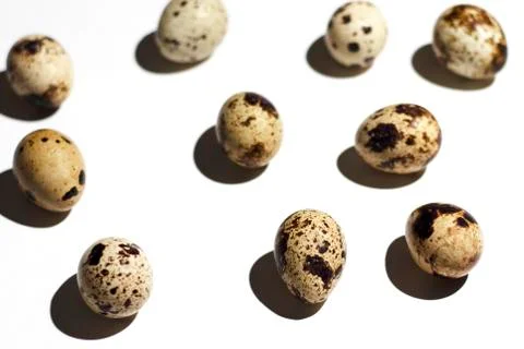 A pattern of quail eggs lies on a white background Stock Photos